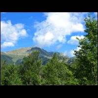 la liscia luglio 2014 033.JPG
